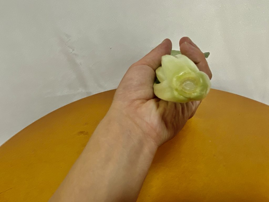 大地を守る会　小松菜　茎
